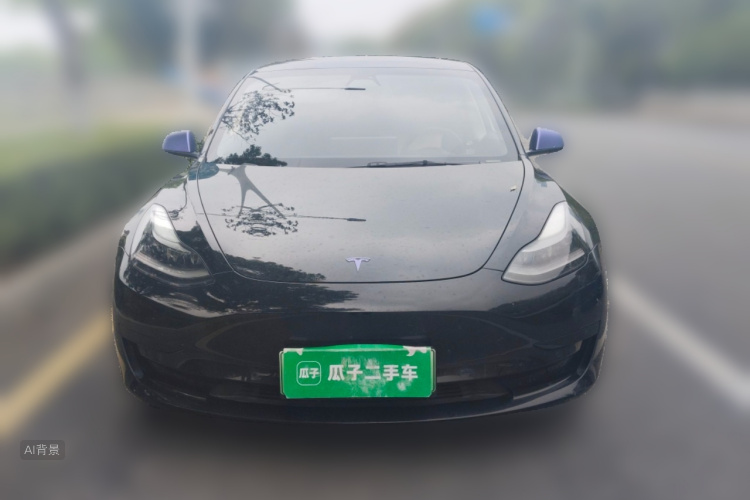 Tesla Model 3 2021 #3 Tesla Model 3 2021 car image #3