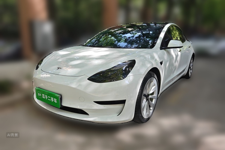 Tesla Model 3 2022 car image #2