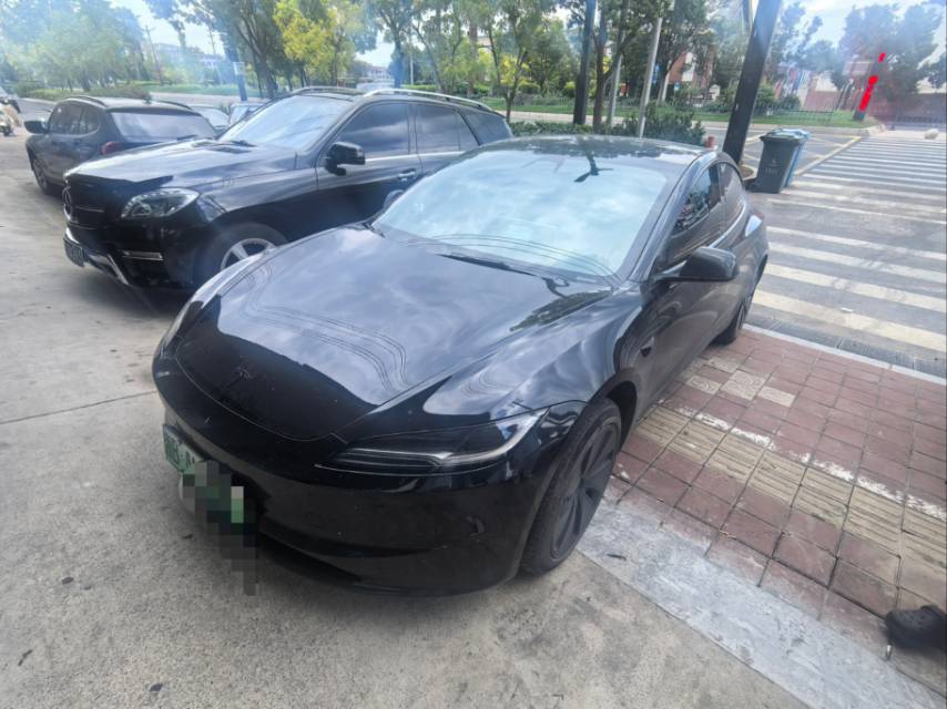 Tesla Model 3 2024 car image 