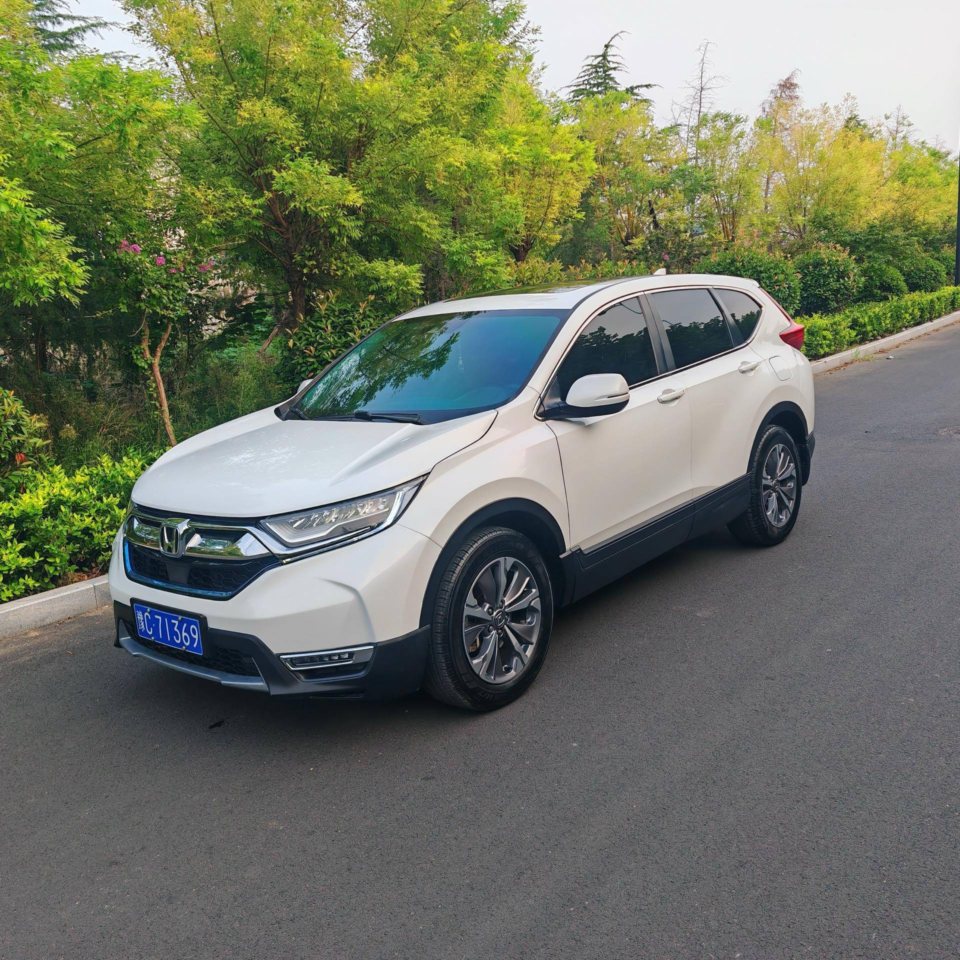 Honda CR-V 2019 Honda CR-V 2019 car image