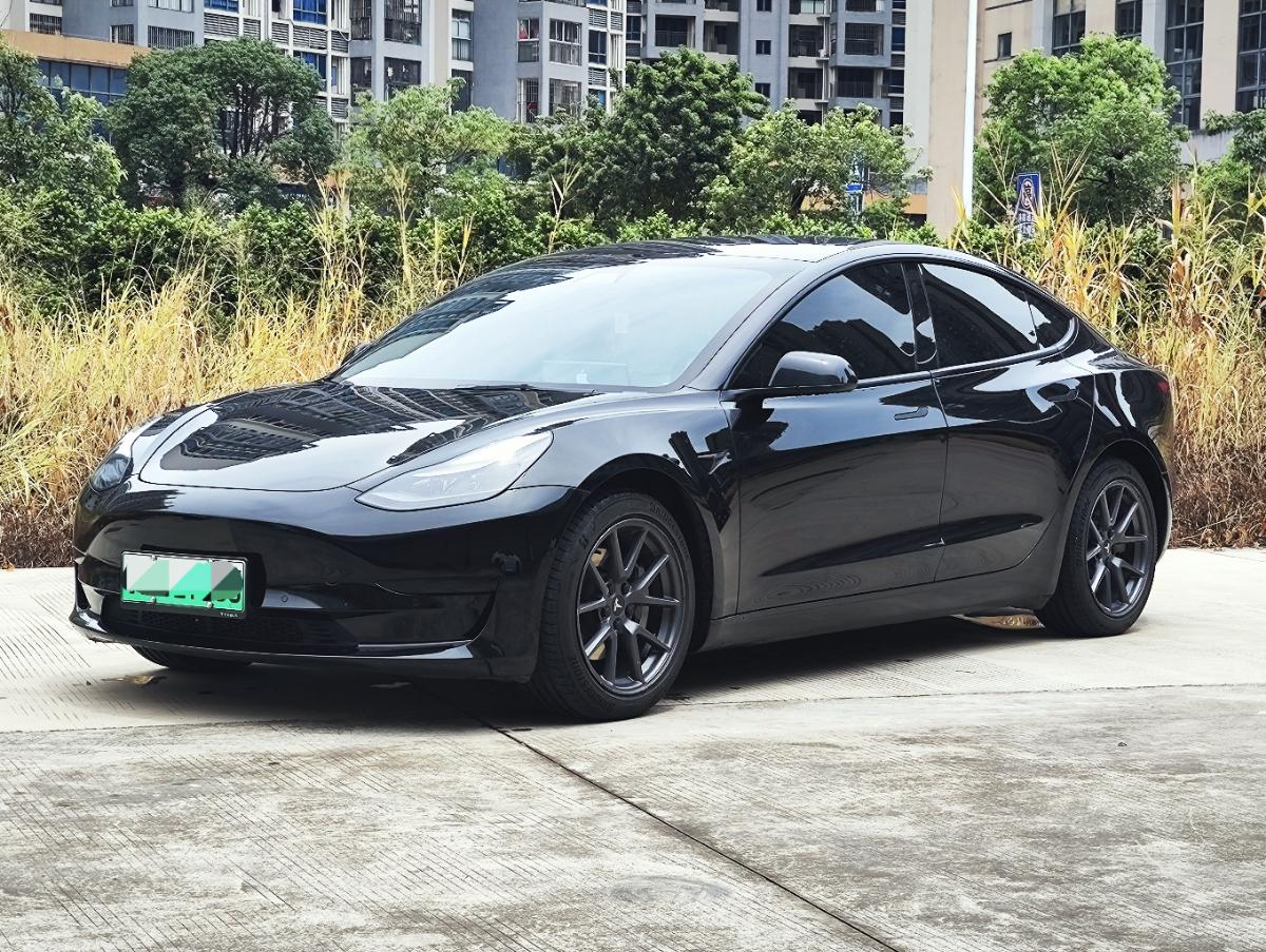 Tesla Model 3 2021 car image 