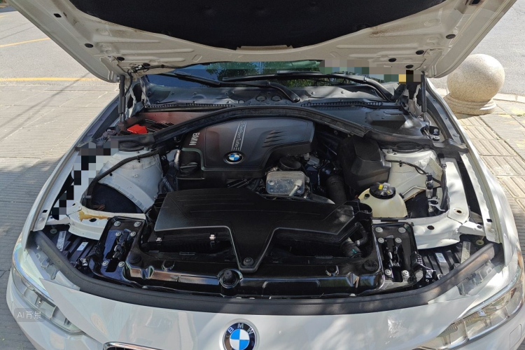 BMW 3 Series 2014 car image #22