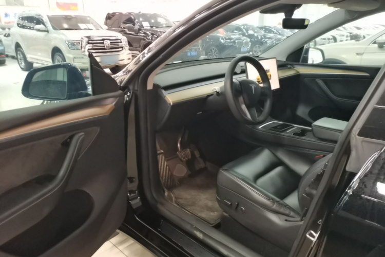 Tesla Model Y 2023 car image #16