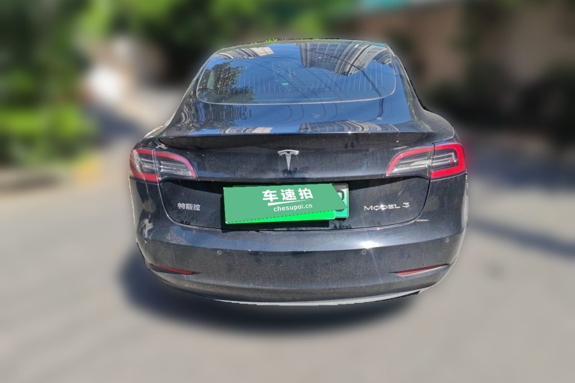 Tesla Model 3 2020 car image #6