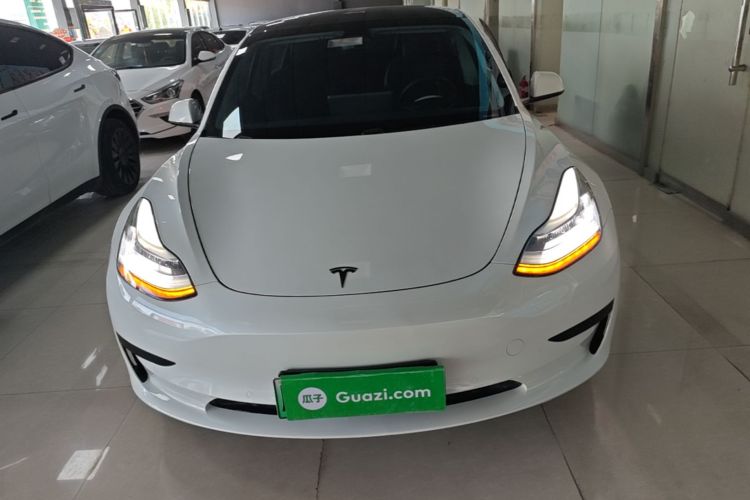 Tesla Model 3 2020 #3 Tesla Model 3 2020 car image #3