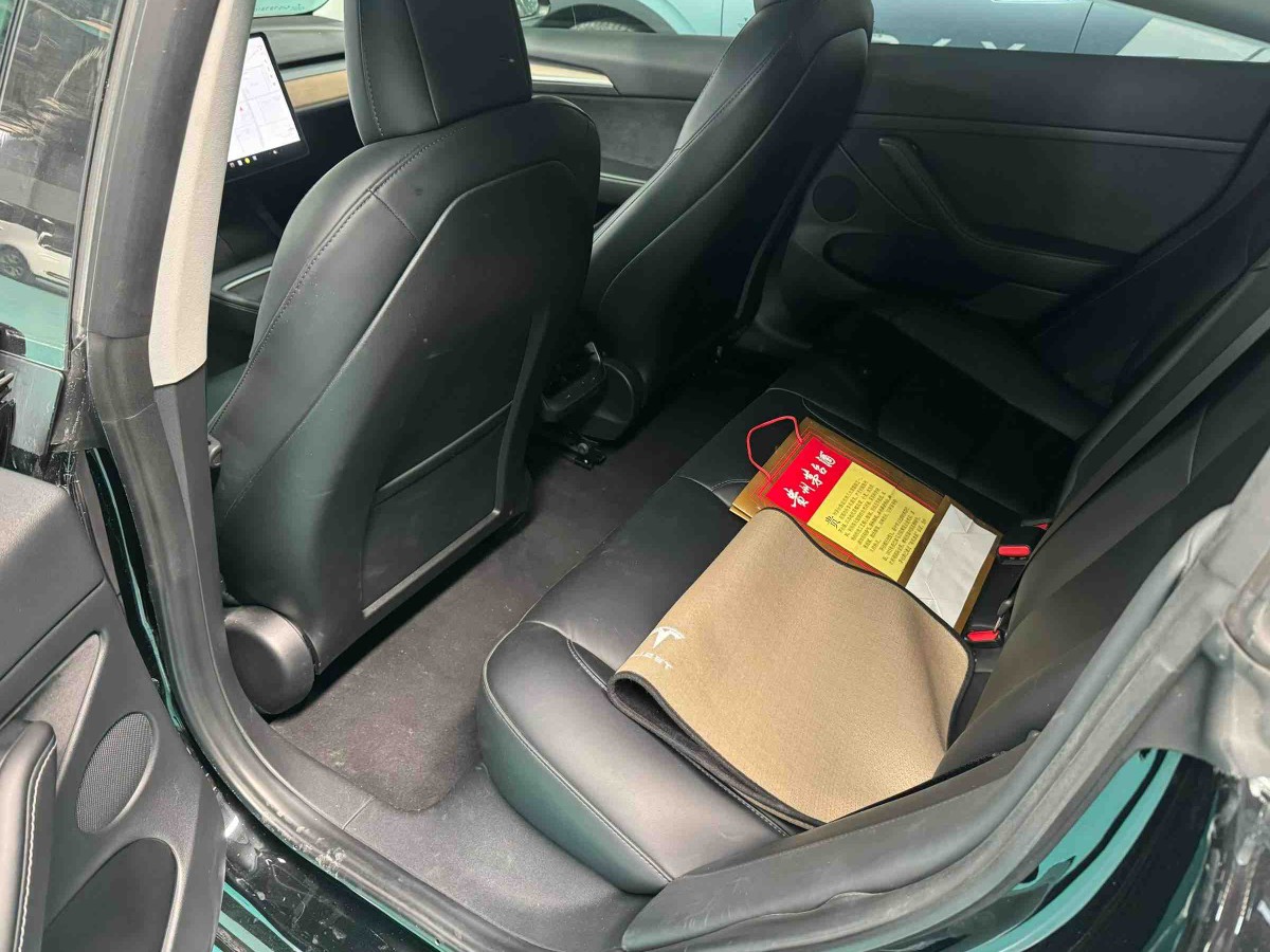 Tesla Model 3 2021 #4 Tesla Model 3 2021 car image #4