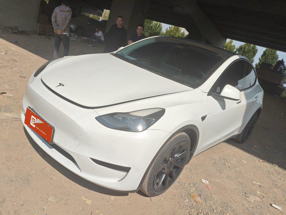 Tesla Model Y 2022 car image 