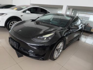 Tesla Model 3 2021 Tesla Model 3 2021 car image