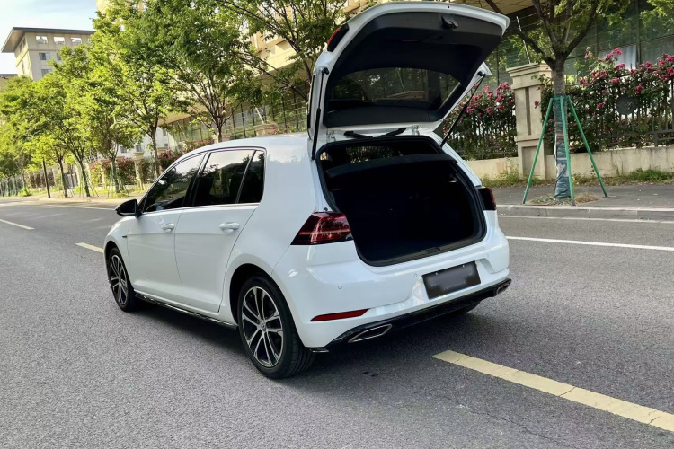 Volkswagen Golf 2019 car image #22