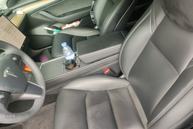 Tesla Model 3 2021 car image #17