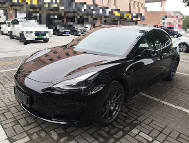 Tesla Model 3 2021 Tesla Model 3 2021 car image