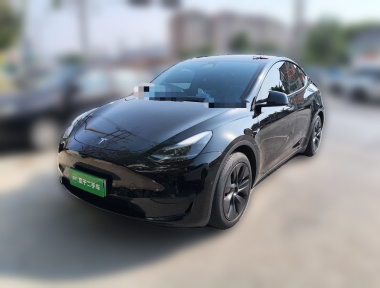 Tesla Model Y 2024 Tesla Model Y 2024 car image