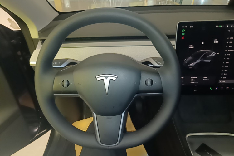 Tesla Model Y 2025 imagem de carro #11