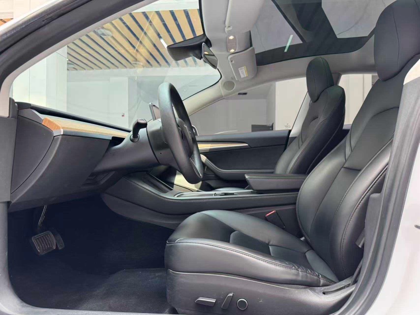 Tesla Model 3 2022 car image #10