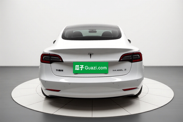 Tesla Model 3 2021 #6 Tesla Model 3 2021 car image #6