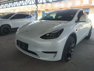 Tesla Model Y 2024 Tesla Model Y 2024 car image