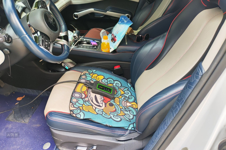 BYD Yuan Plus 2022 car image #18