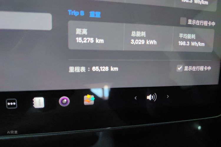 Tesla Model Y 2023 car image #14