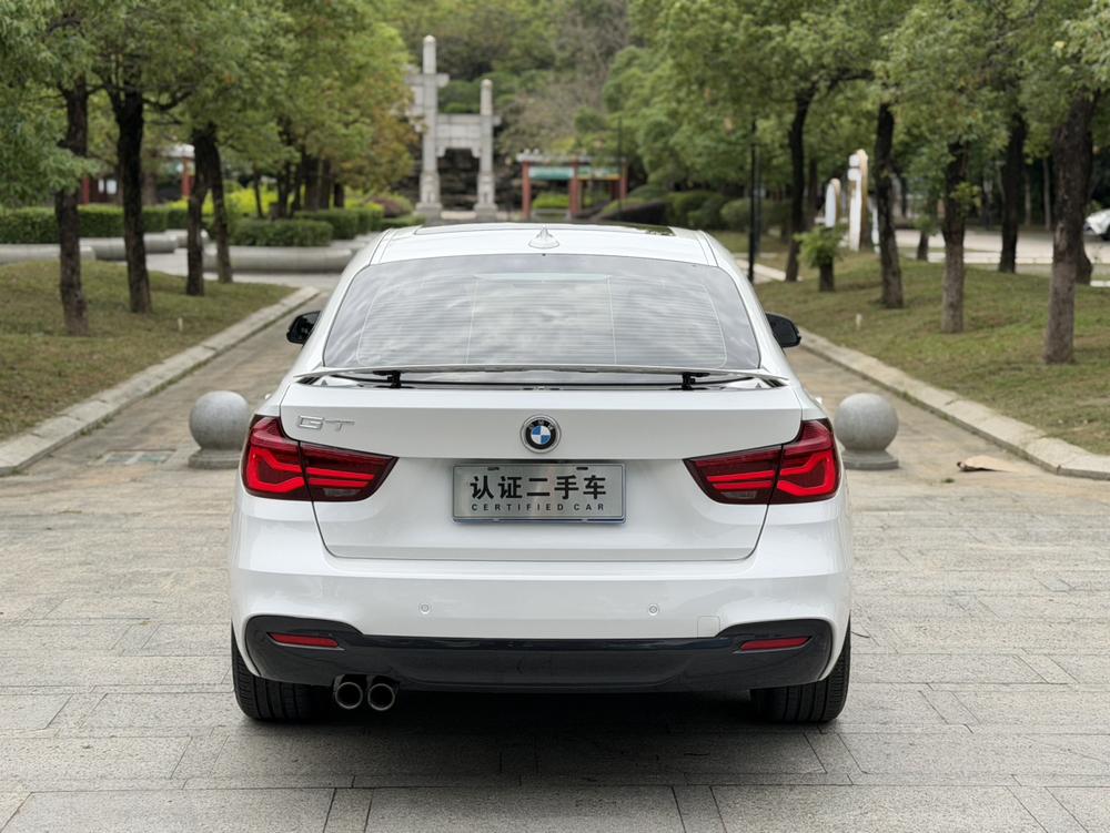 BMW 3 Series GT 2019 car image #5