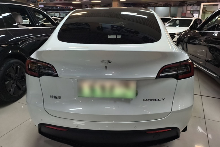 Tesla Model Y 2022 #6 Tesla Model Y 2022 car image #6