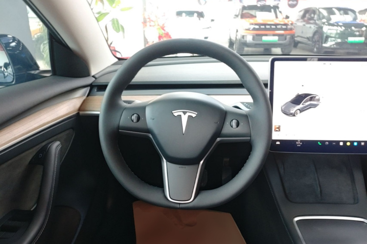 Tesla Model 3 2021 #15 Tesla Model 3 2021 car image #15