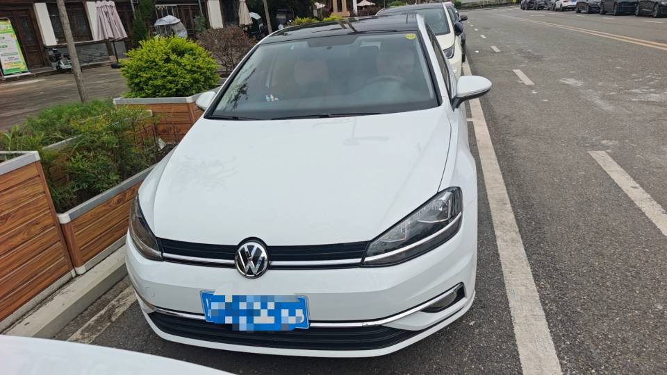 Volkswagen Golf 2019 #2 Volkswagen Golf 2019 imagen de coche #2