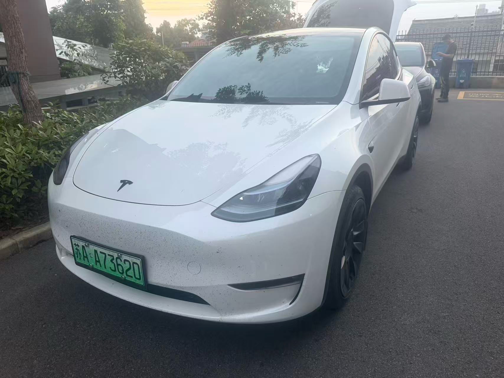 Tesla Model Y 2024 Tesla Model Y 2024 car image