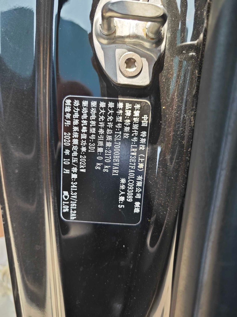 Tesla Model 3 2020 car image #8