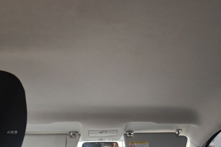 Volkswagen Santana 2020 car image #20