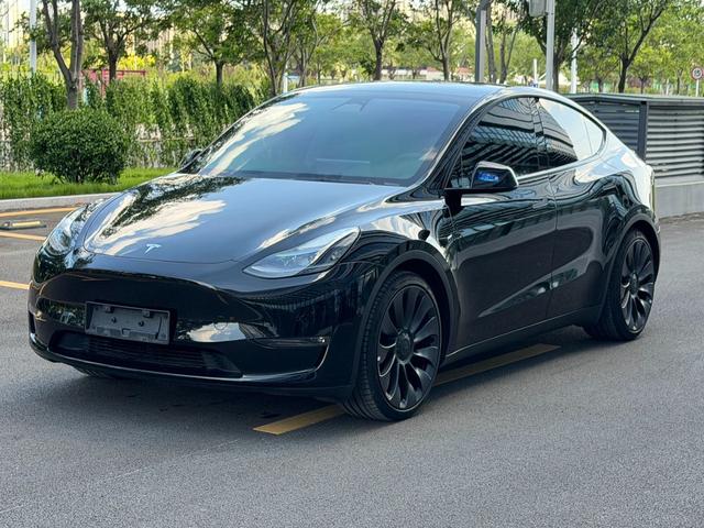 Tesla Model Y 2023 #15 Tesla Model Y 2023 изображение автомобиля #15