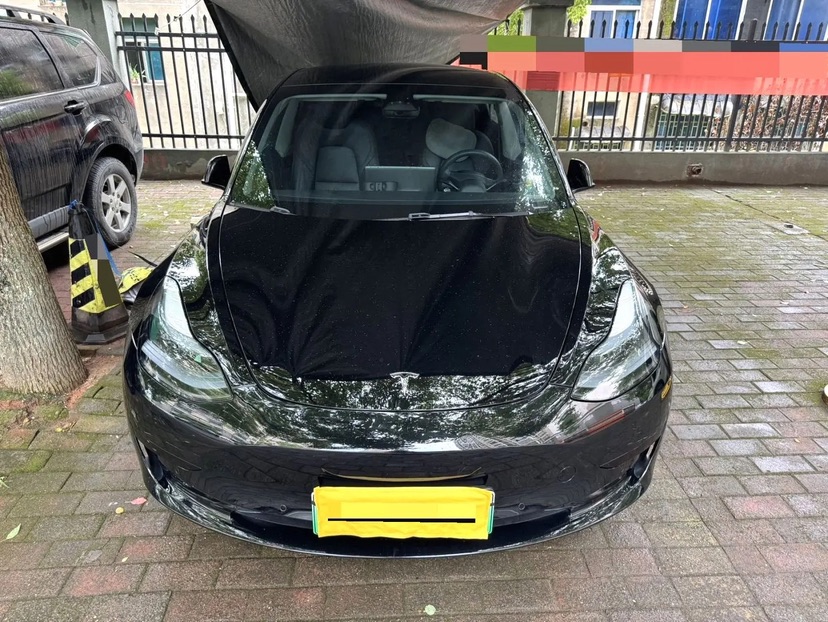 Tesla Model 3 2023 #2 Tesla Model 3 2023 car image #2