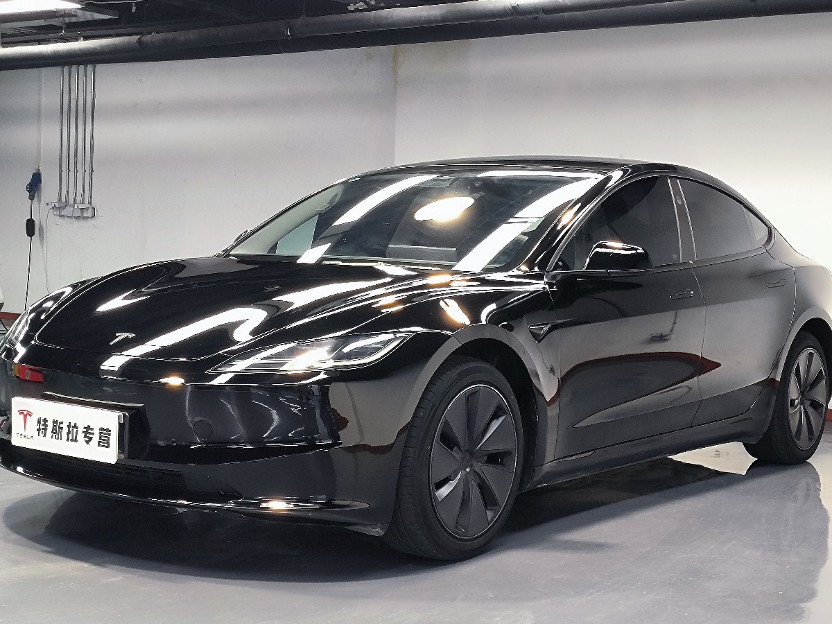 Tesla Model 3 2024 Tesla Model 3 2024 car image