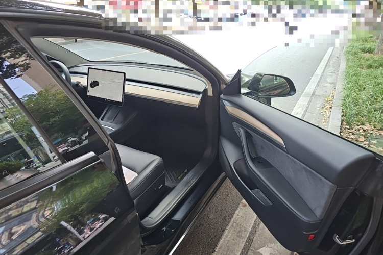 Tesla Model 3 2021 immagine di auto #21