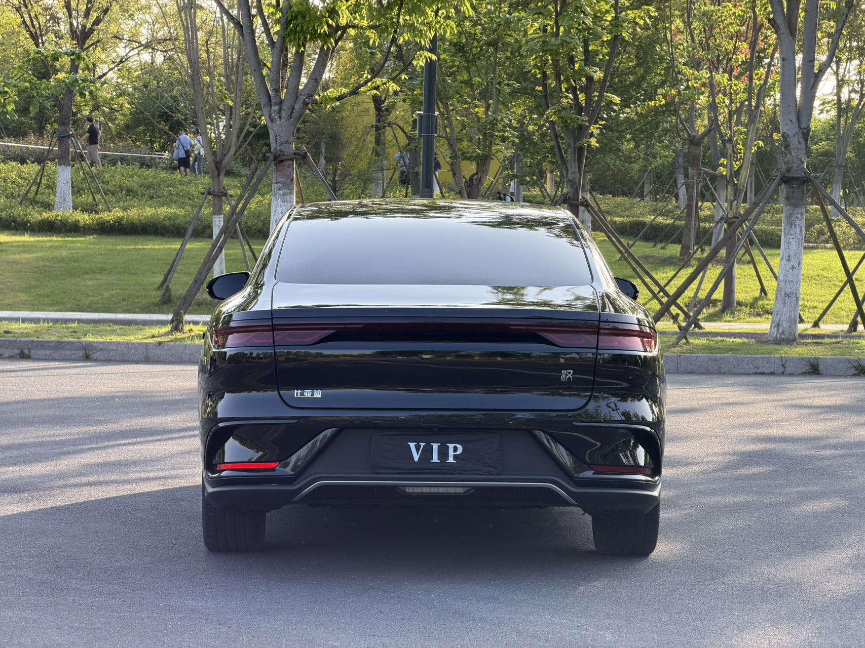 比亚迪 汉 2024 汽车图片 #7