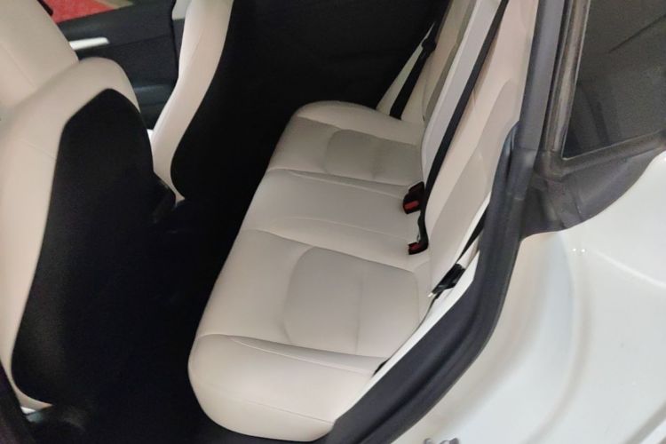 Tesla Model 3 2021 car image #13