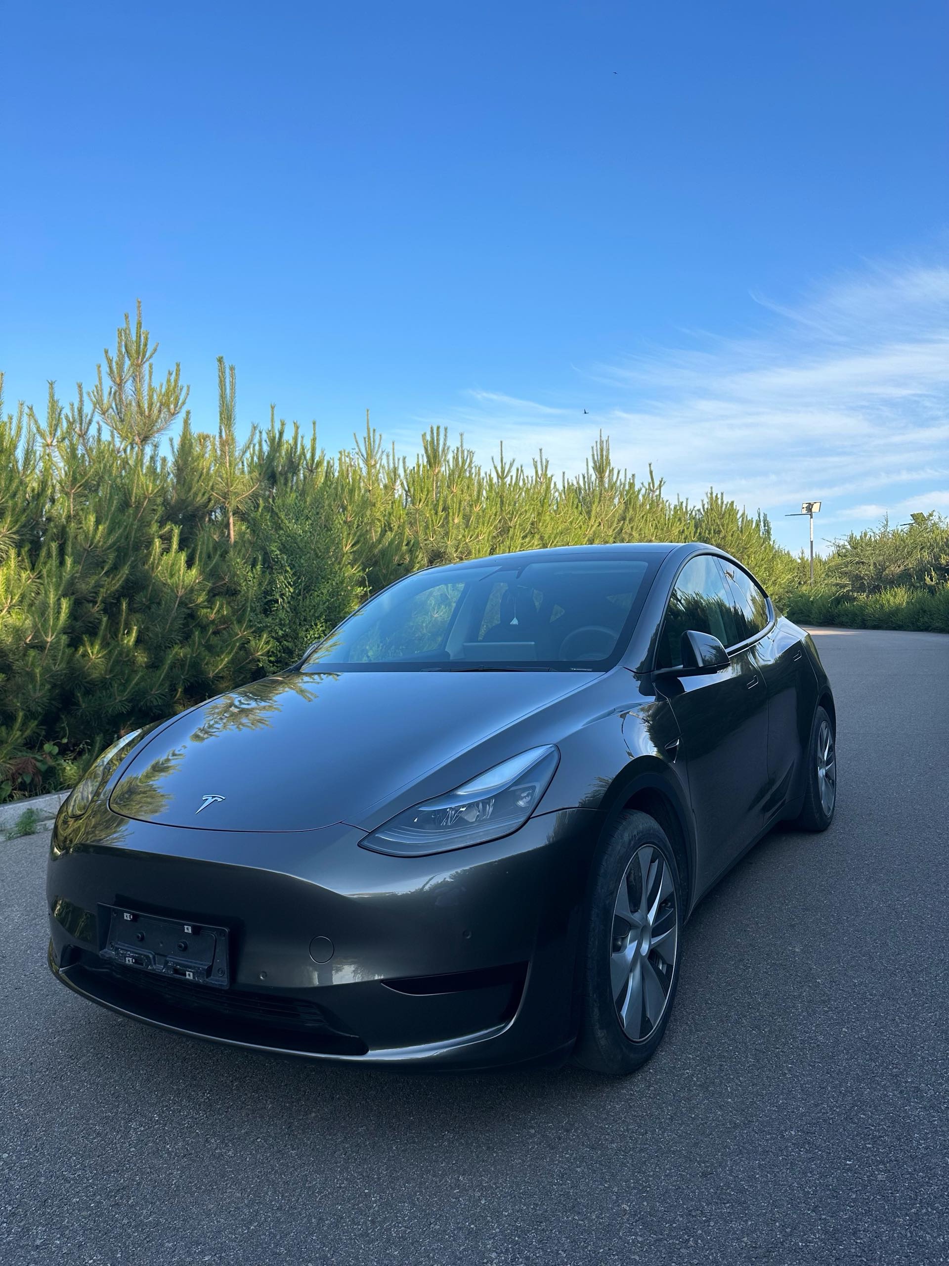 Tesla Model Y 2022 Tesla Model Y 2022 car image