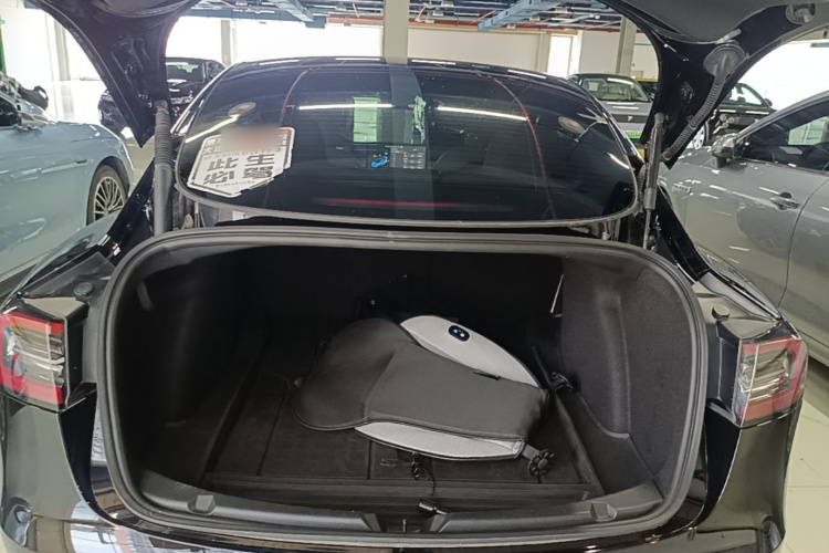 Tesla Model 3 2022 immagine di auto #21