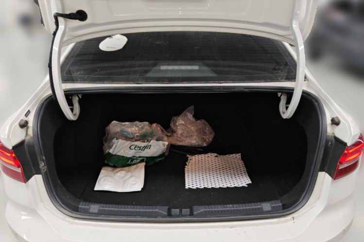 Volkswagen Lavida 2019 #21 Volkswagen Lavida 2019 car image #21