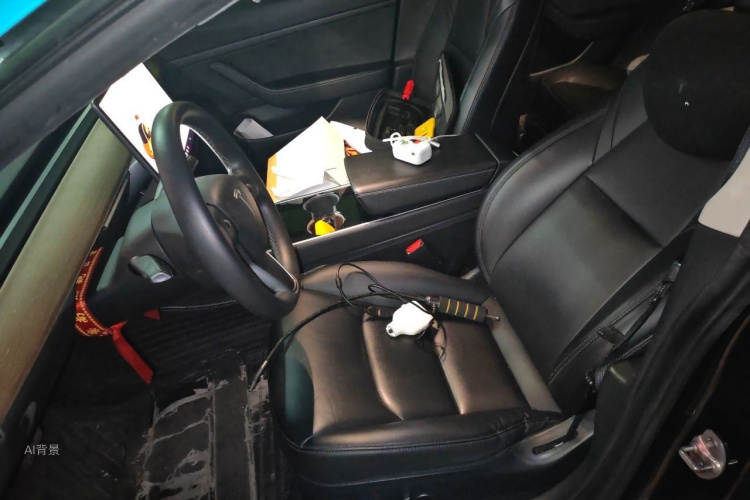 Tesla Model 3 2020 immagine di auto #17