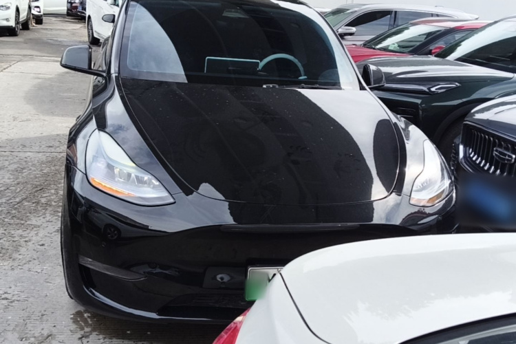 Tesla Model Y 2021 #3 Tesla Model Y 2021 car image #3