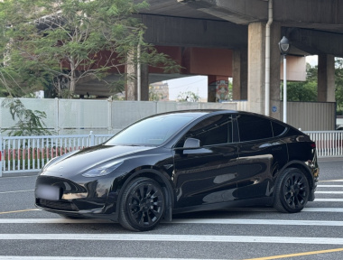 Tesla Model Y 2022 Tesla Model Y 2022 car image
