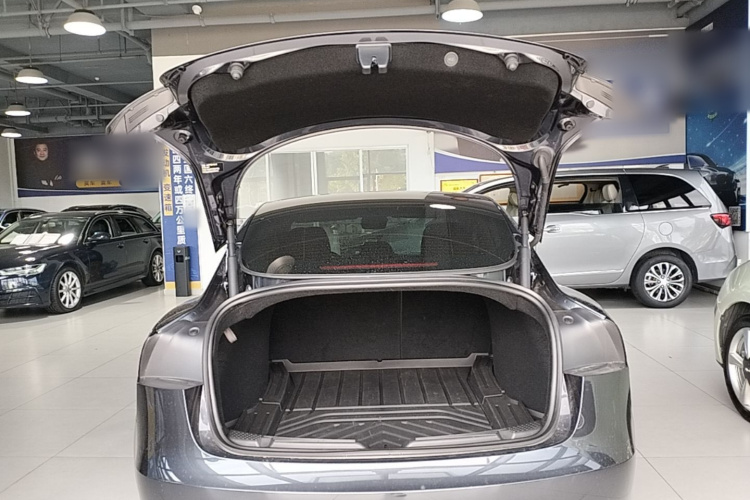 Tesla Model 3 2025 immagine di auto #19