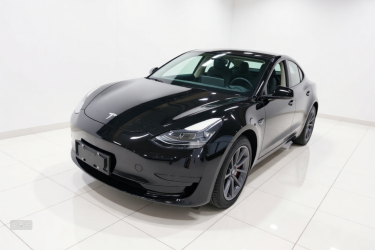 Tesla Model 3 2021 car image #2