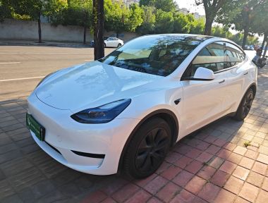 Tesla Model Y 2024 immagine di auto 