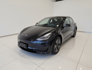 Tesla Model 3 2021 Tesla Model 3 2021 car image