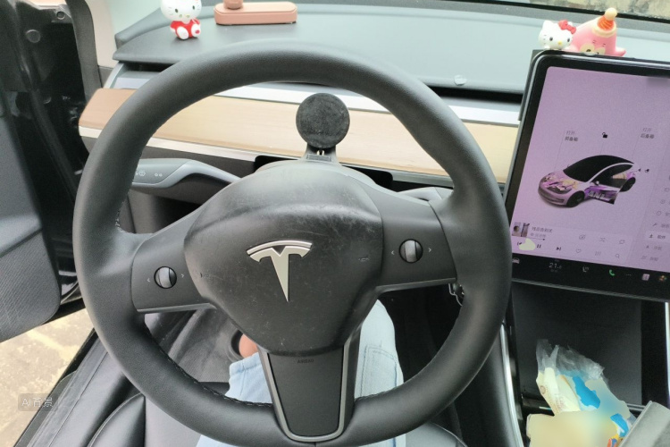 Tesla Model 3 2020 #12 Tesla Model 3 2020 car image #12