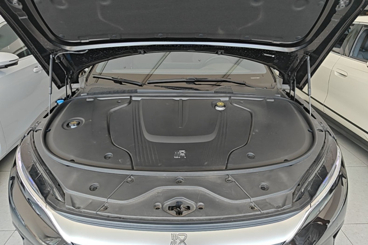 BYD Han 2023 imagem de carro #20