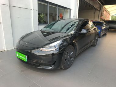 Tesla Model 3 2021 car image 