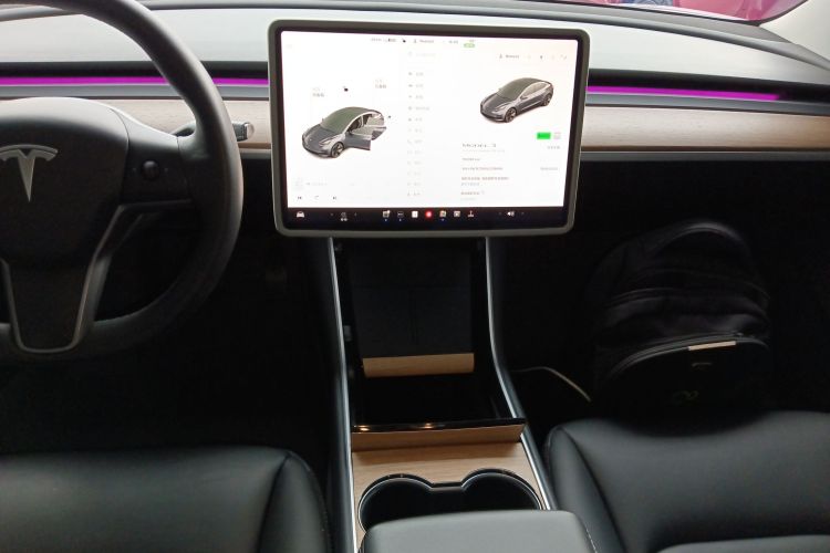 Tesla Model 3 2020 #13 Tesla Model 3 2020 car image #13