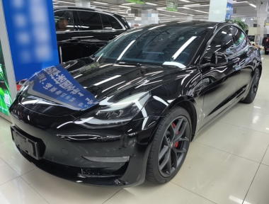 Tesla Model 3 2022 Tesla Model 3 2022 car image